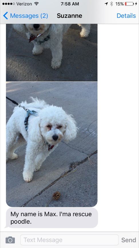 When Teresa called me