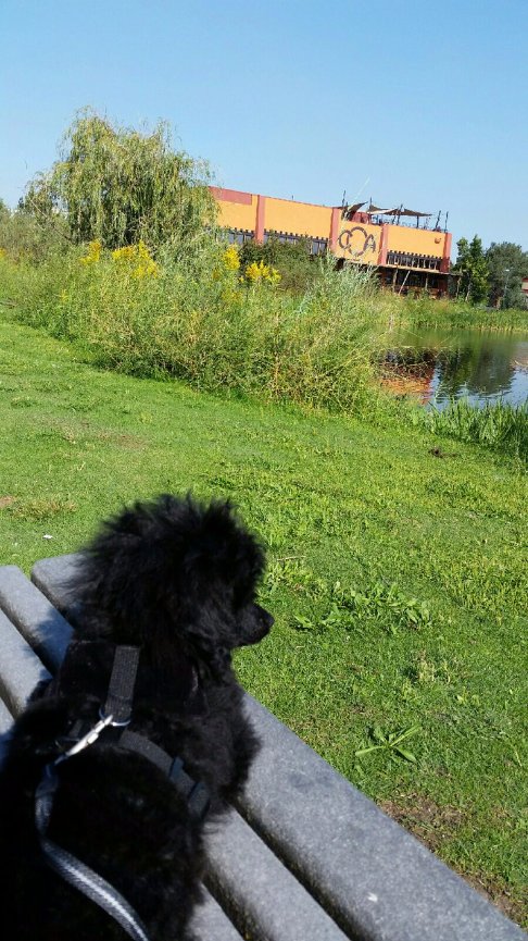 When Teresa called me