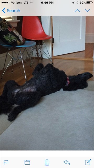 When Teresa called me