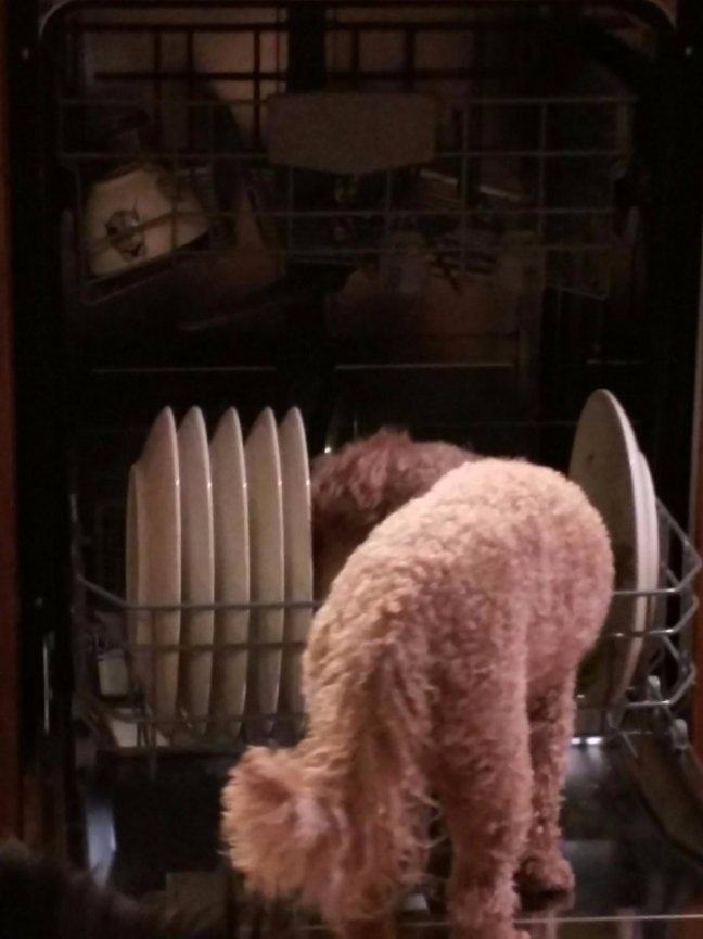 When Teresa called me