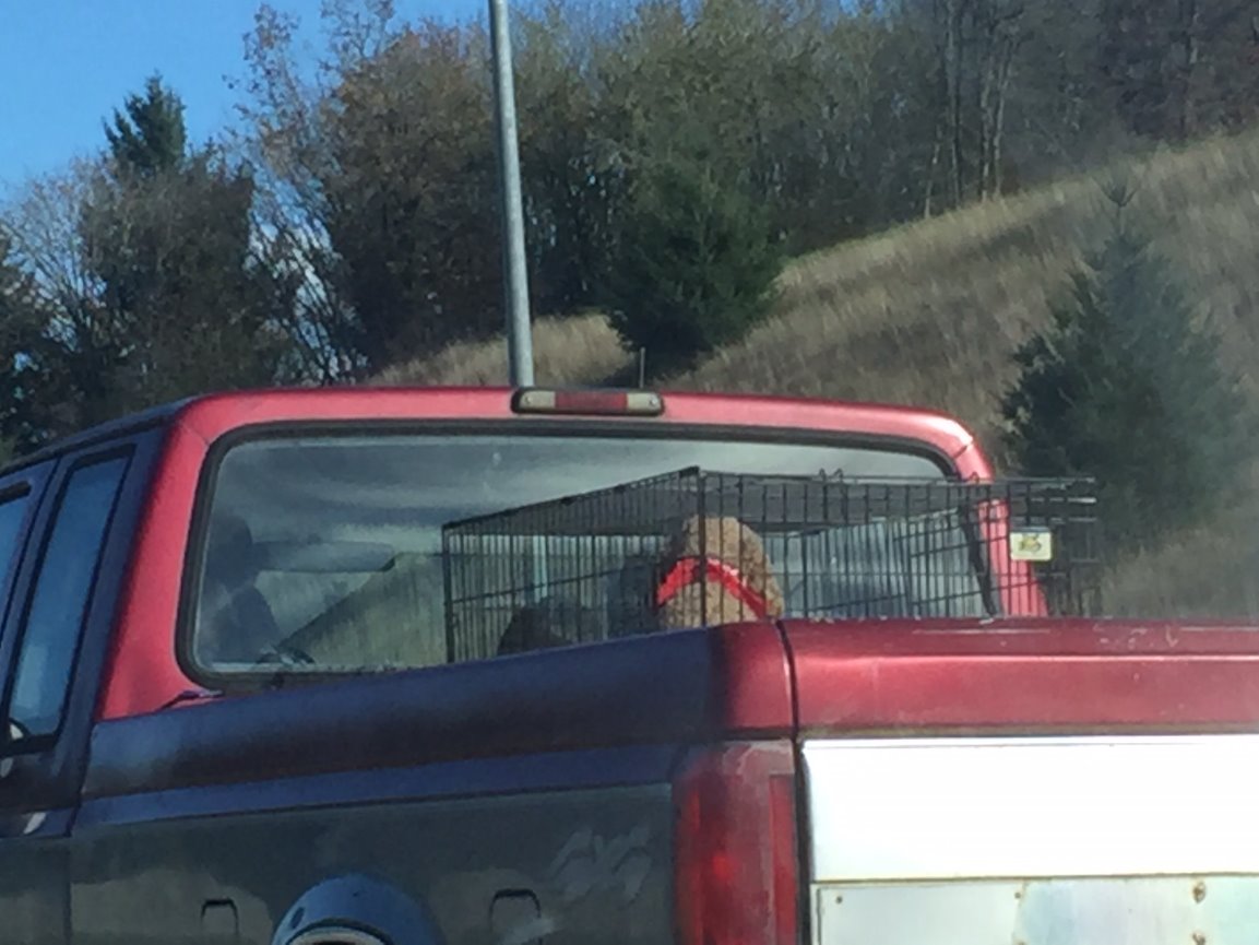 When Teresa called me