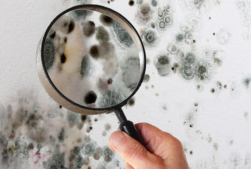 Odor and indoor air quality support