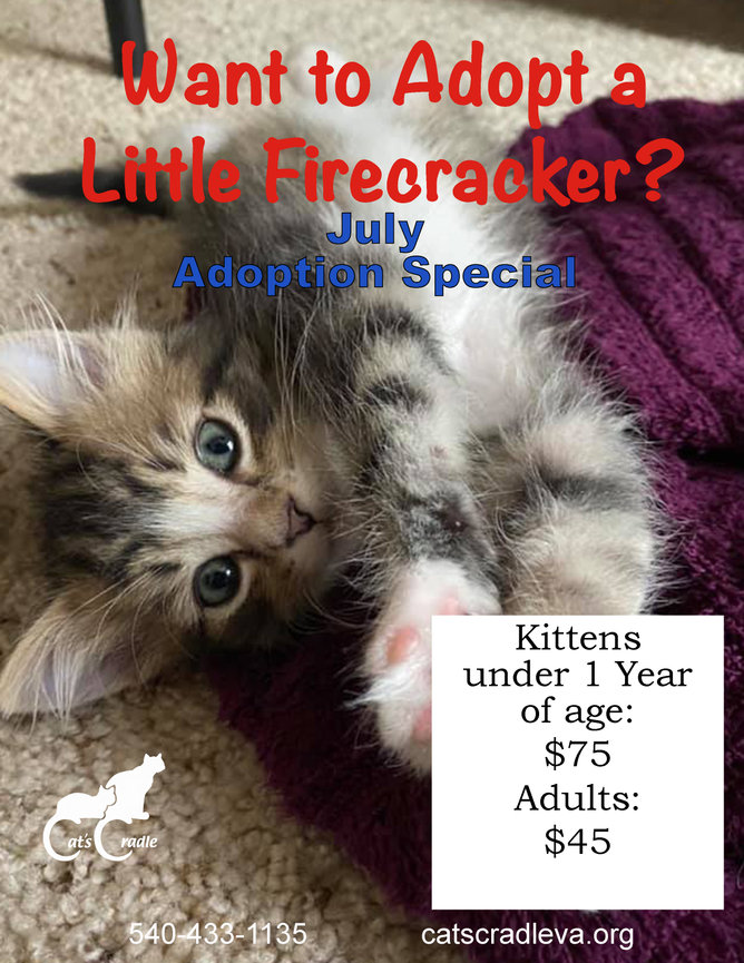 Cat's Cradle Animal Rescue Harrisonburg, VA