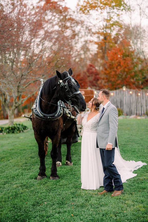 Horse and Carriage with Bride and Groom at Wood Acres Farm