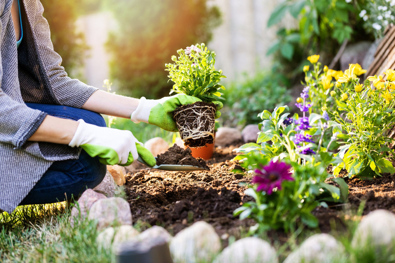Home Landscaping Tips From LW Short Insurance
